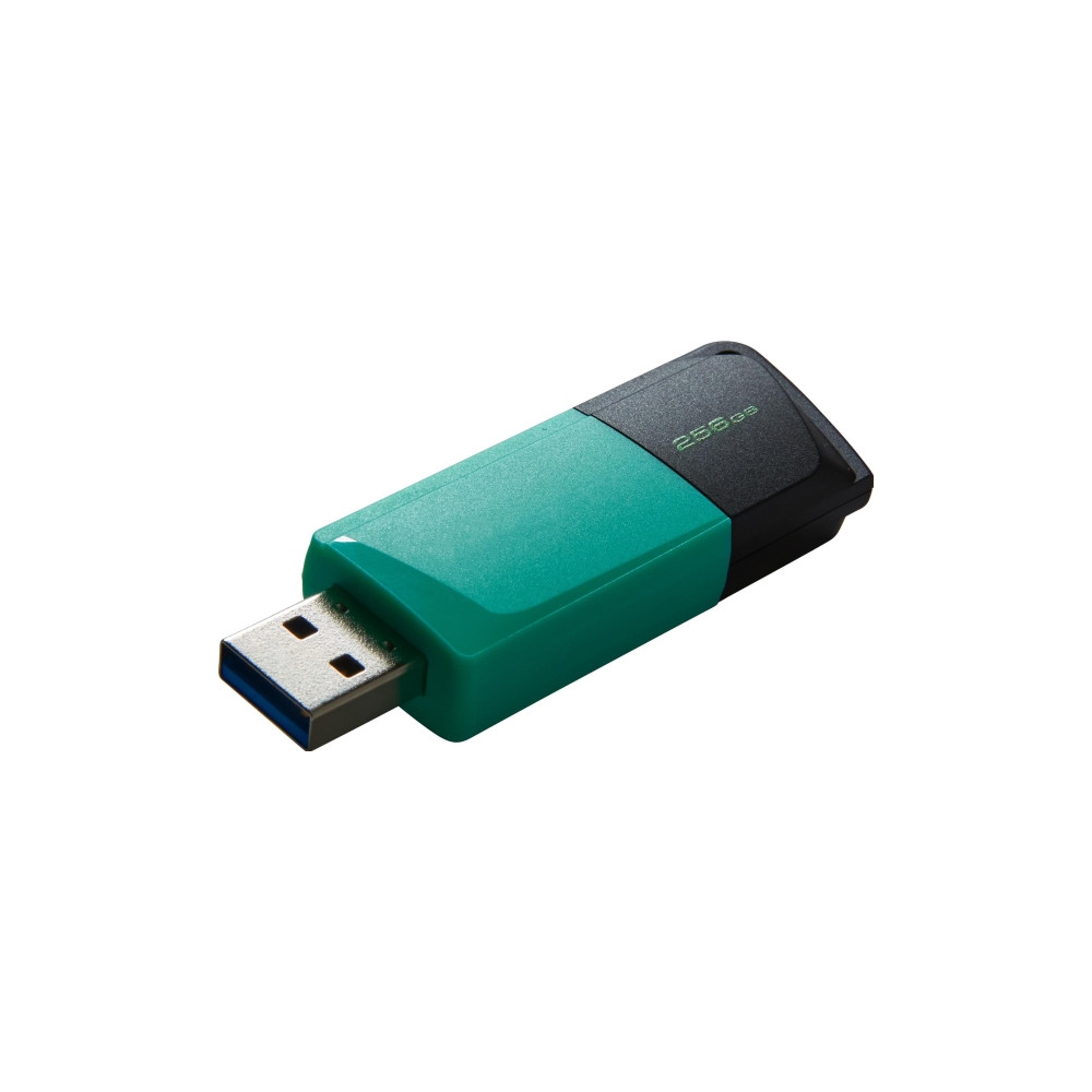 Produktbild för Kingston DataTraveler Exodia M - USB flash-enhet - 256 GB