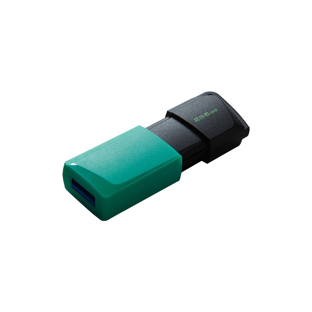 Produktbild för Kingston DataTraveler Exodia M - USB flash-enhet - 256 GB
