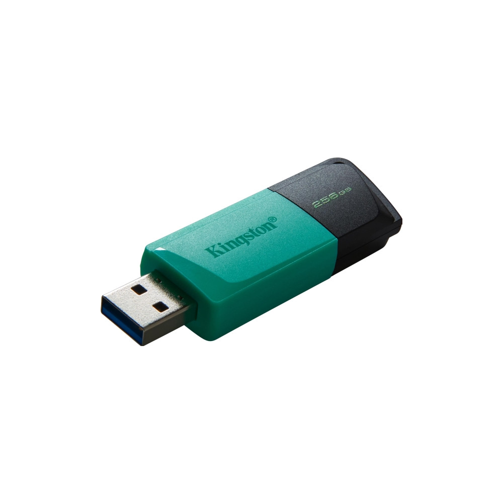 Produktbild för Kingston DataTraveler Exodia M - USB flash-enhet - 256 GB