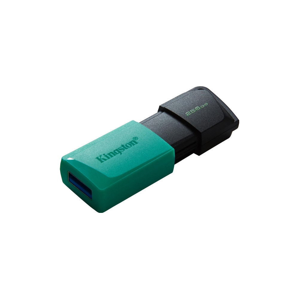 Produktbild för Kingston DataTraveler Exodia M - USB flash-enhet - 256 GB