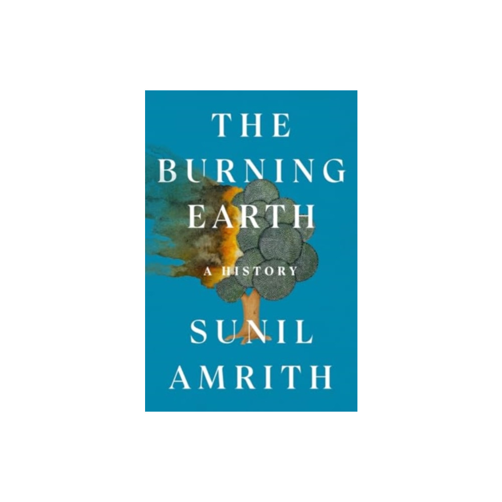 Produktbild för Burning Earth (inbunden, eng)
