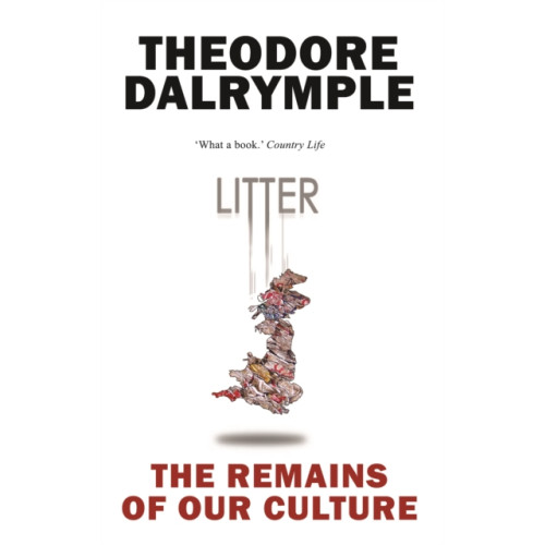 Gibson Square Books Ltd Litter (häftad, eng)