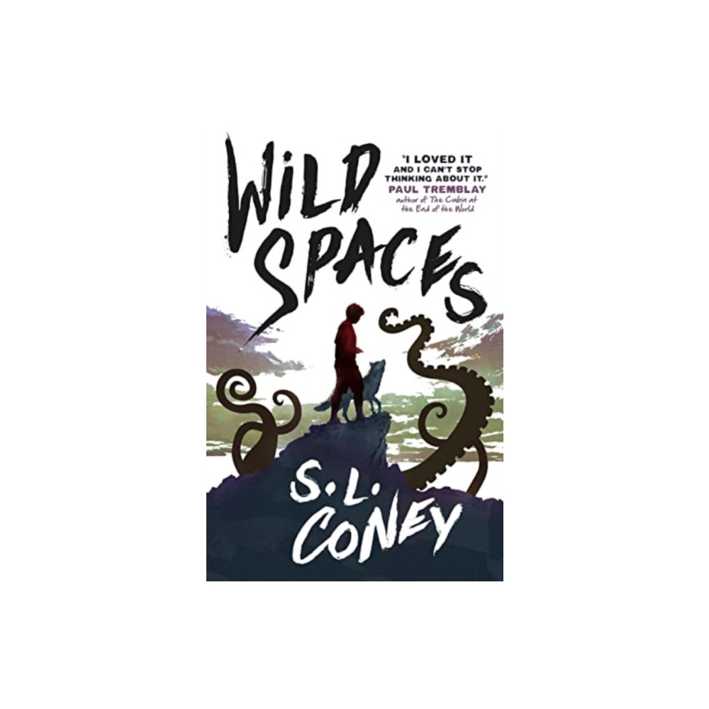 Produktbild för Wild Spaces (häftad, eng)