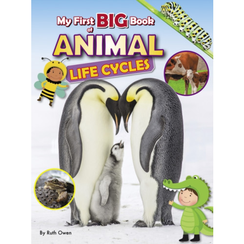 Ruby Tuesday Books Ltd My First BIG Book of ANIMAL Life Cycles (häftad, eng)