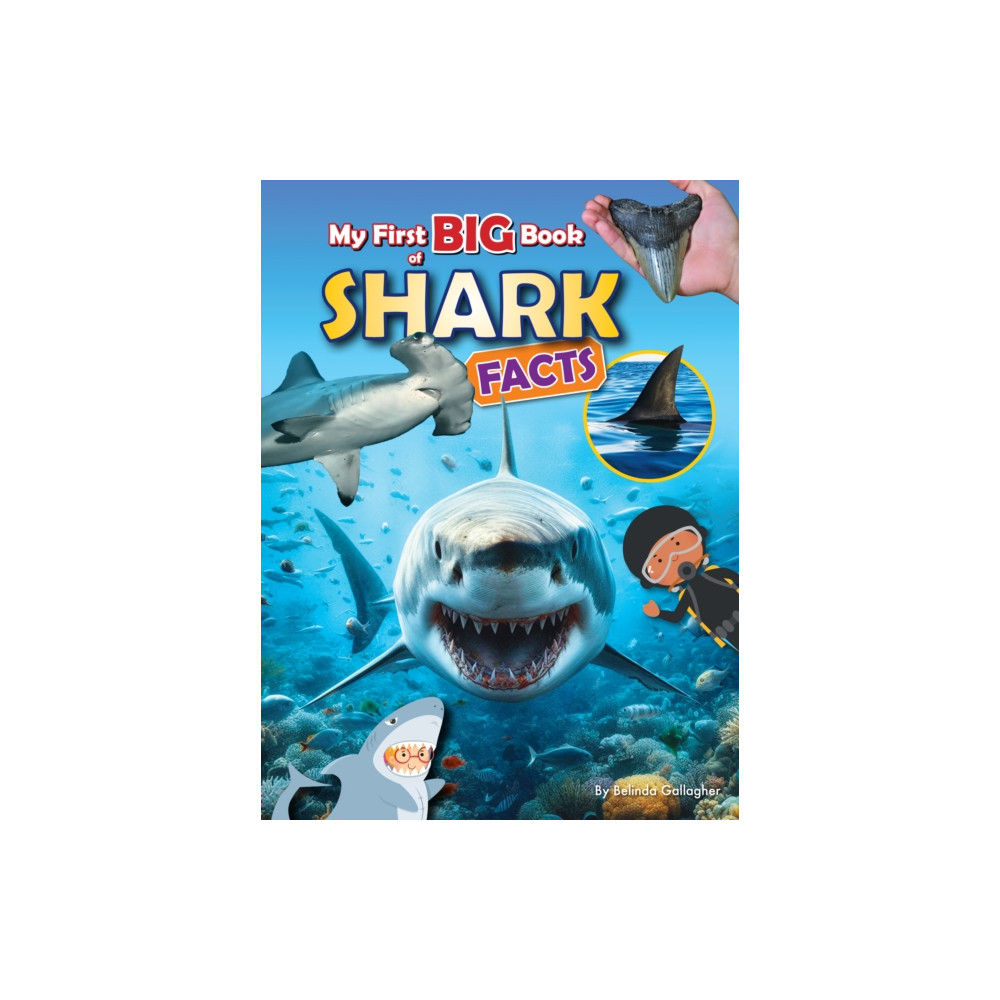 Produktbild för My First BIG book of SHARK Facts (häftad, eng)