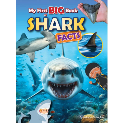 Ruby Tuesday Books Ltd My First BIG book of SHARK Facts (häftad, eng)