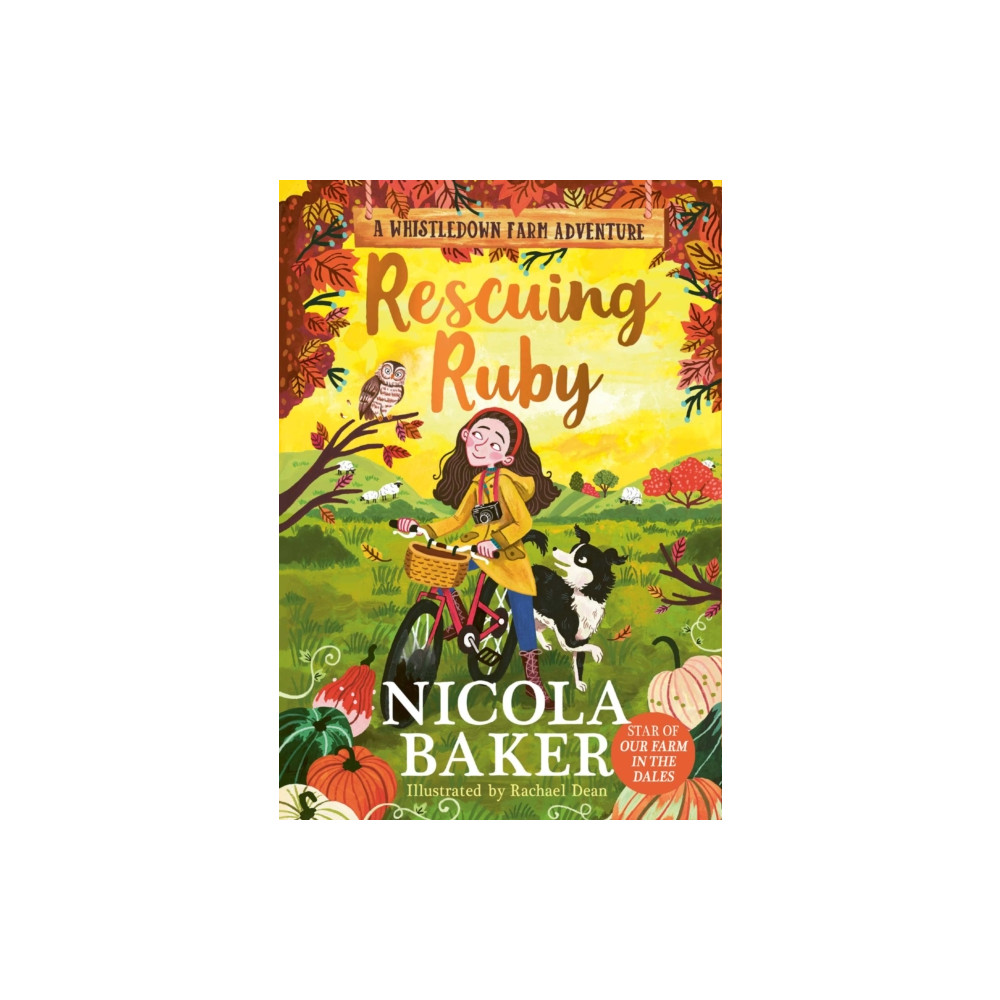 Produktbild för Rescuing Ruby (häftad, eng)