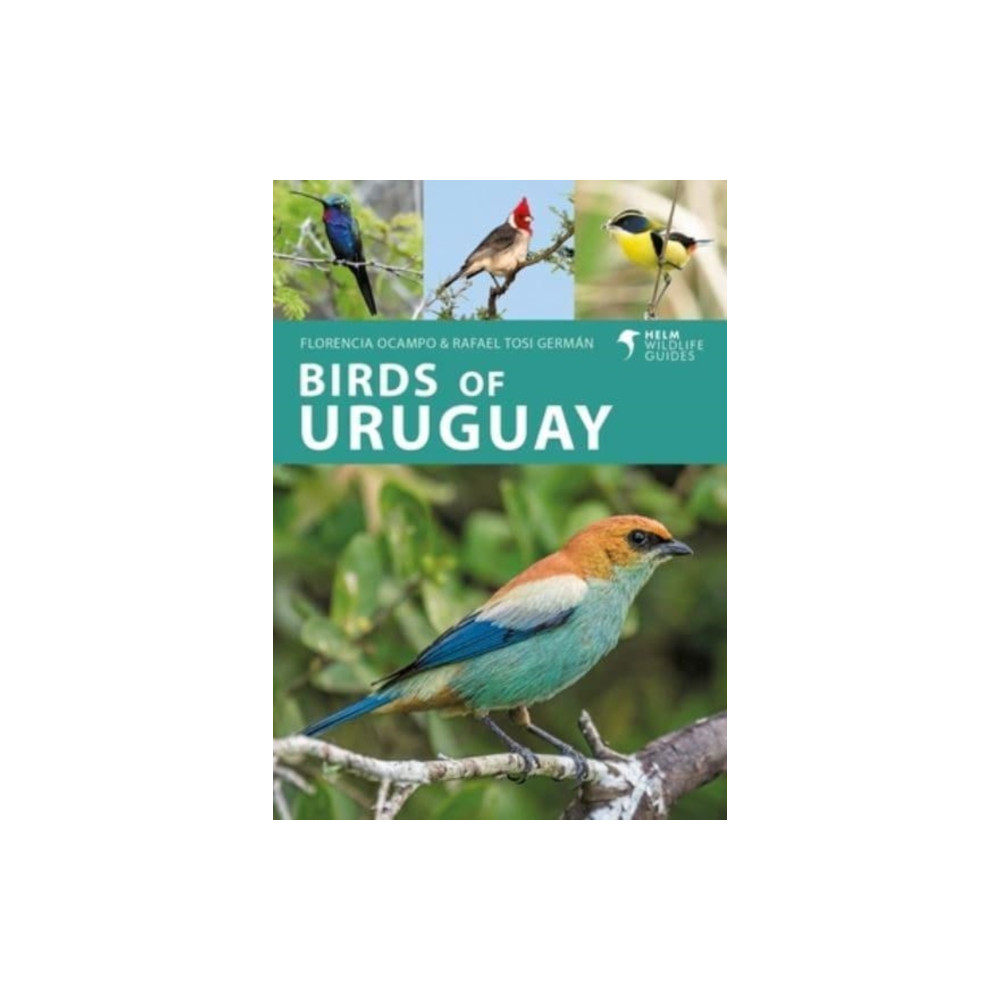 Produktbild för Birds of Uruguay (häftad, eng)