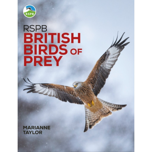 Bloomsbury Publishing PLC RSPB British Birds of Prey (inbunden, eng)