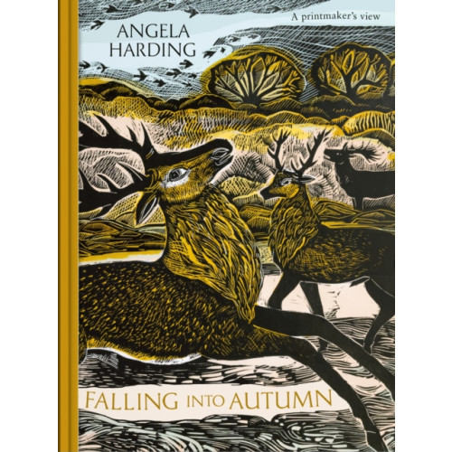 Little, Brown Book Group Falling into Autumn (inbunden, eng)