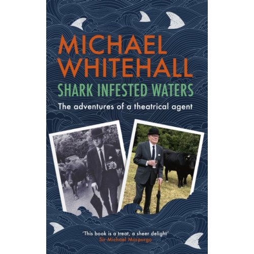 Little, Brown Book Group Shark-Infested Waters (häftad, eng)