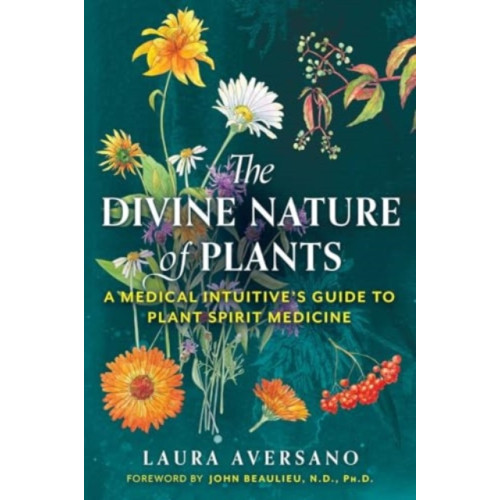 Inner Traditions Bear and Company The Divine Nature of Plants (häftad, eng)