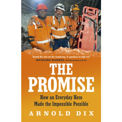 Simon & Schuster Australia The Promise (häftad, eng)