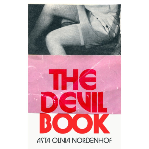 Vintage Publishing The Devil Book (inbunden, eng)