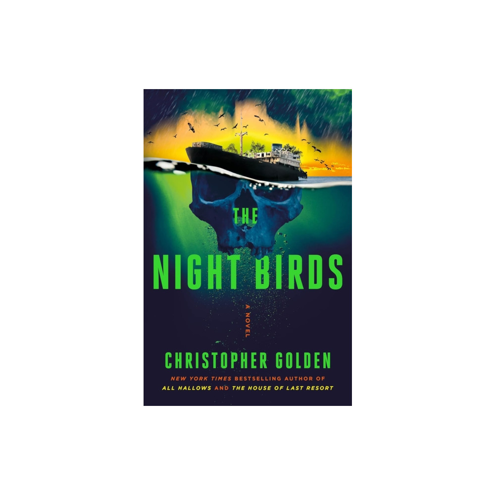 Produktbild för The Night Birds (häftad, eng)