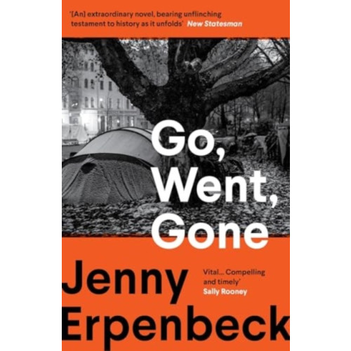 Granta Books Go, Went, Gone (häftad, eng)