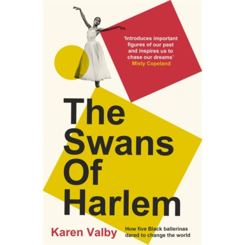 Bonnier Books Ltd The Swans of Harlem (häftad, eng)