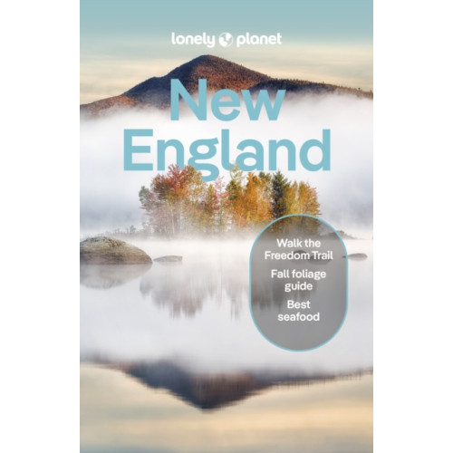 Lonely Planet Global Limited Lonely Planet New England (häftad, eng)