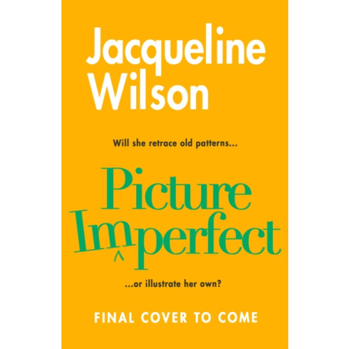 Transworld publishers ltd Picture Imperfect (inbunden, eng)