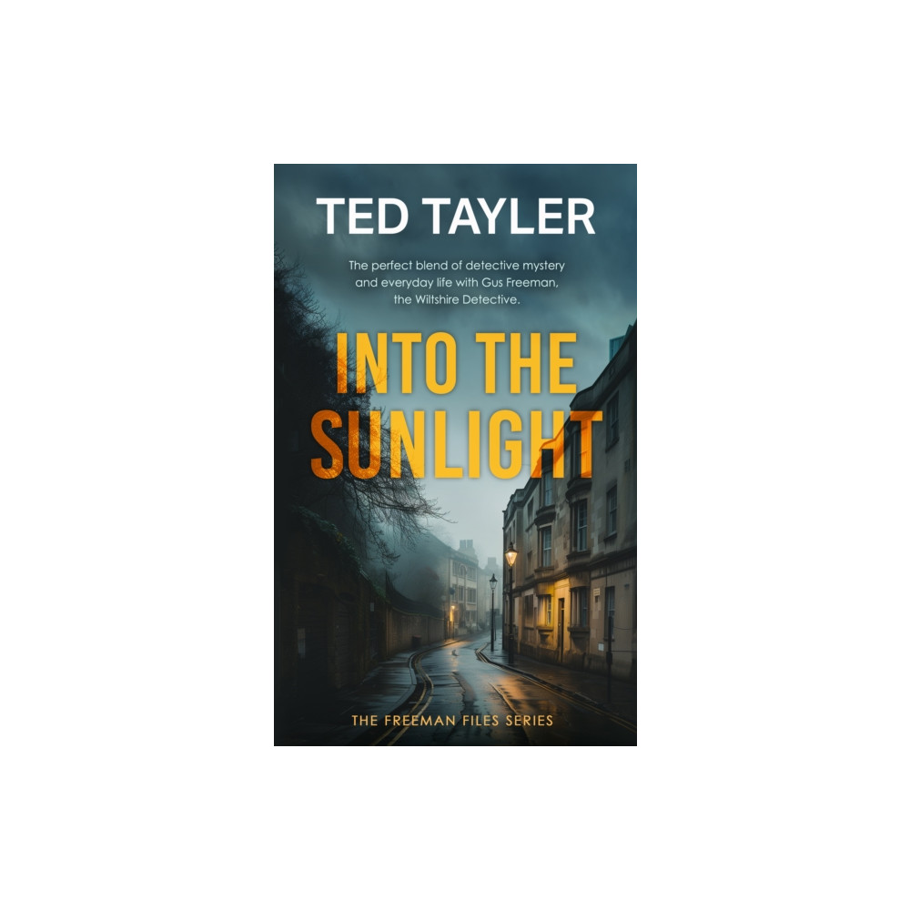 Produktbild för Into The Sunlight (häftad, eng)