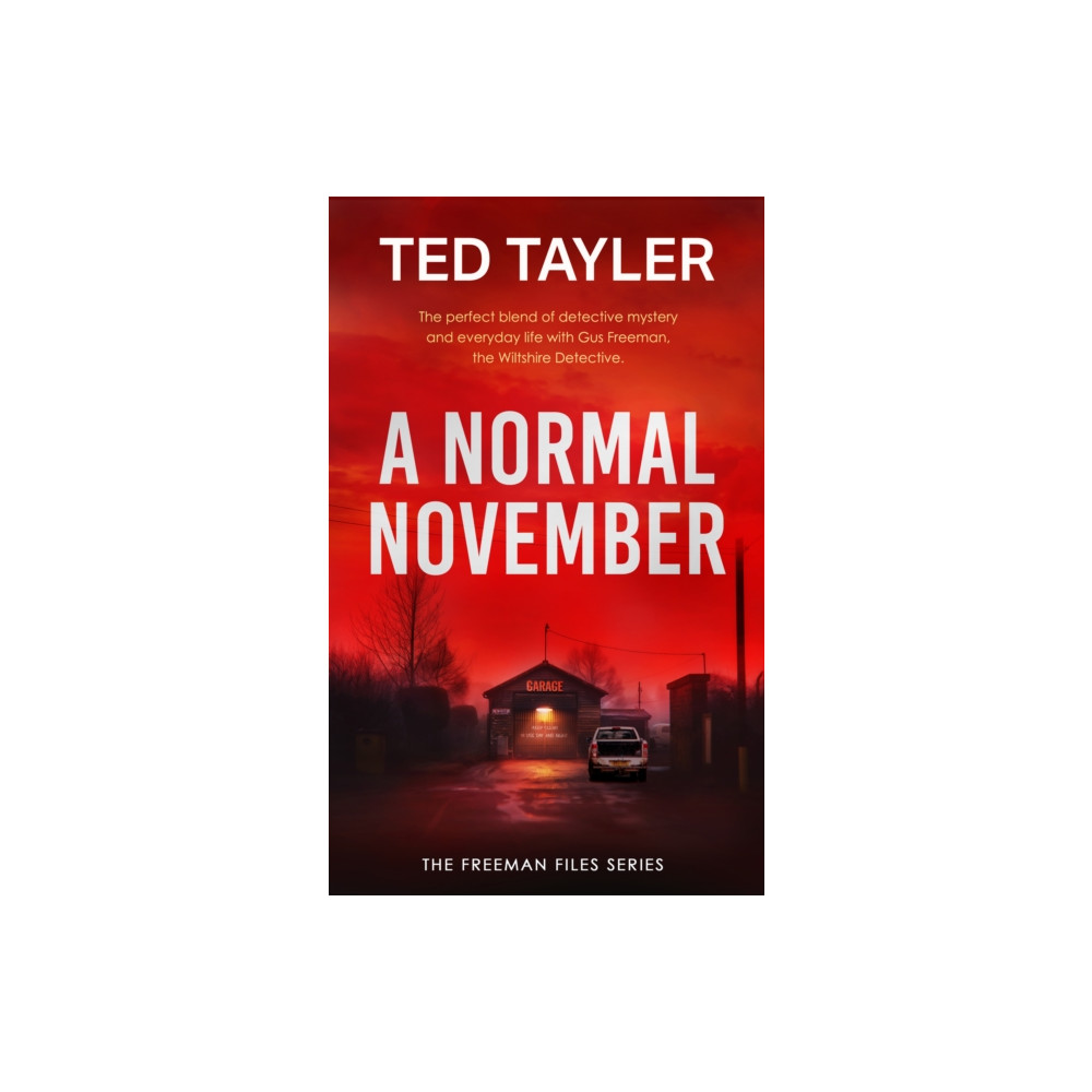 Produktbild för A Normal November (häftad, eng)