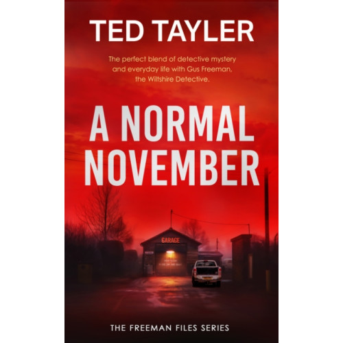 Vinci Books A Normal November (häftad, eng)