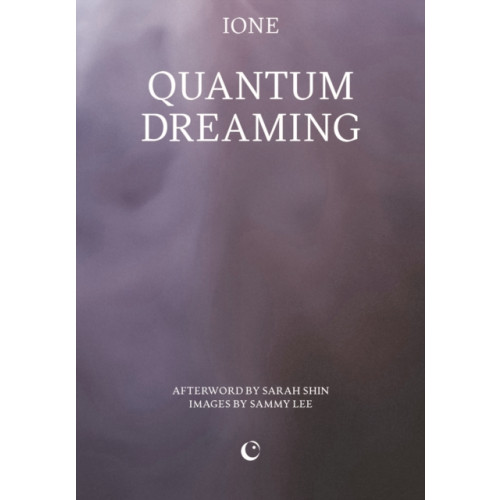 Silver Press Quantum Dreaming (häftad, eng)