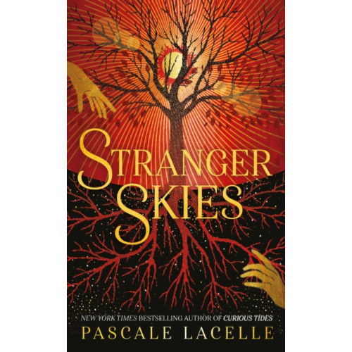 Simon & Schuster Ltd Stranger Skies (häftad, eng)