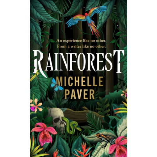 Orion Publishing Co Rainforest (inbunden, eng)