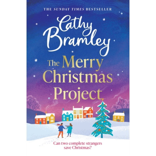 Orion Publishing Co The Merry Christmas Project (häftad, eng)