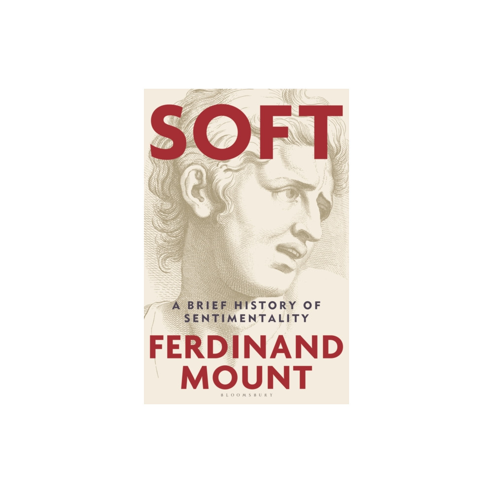Produktbild för Soft (inbunden, eng)