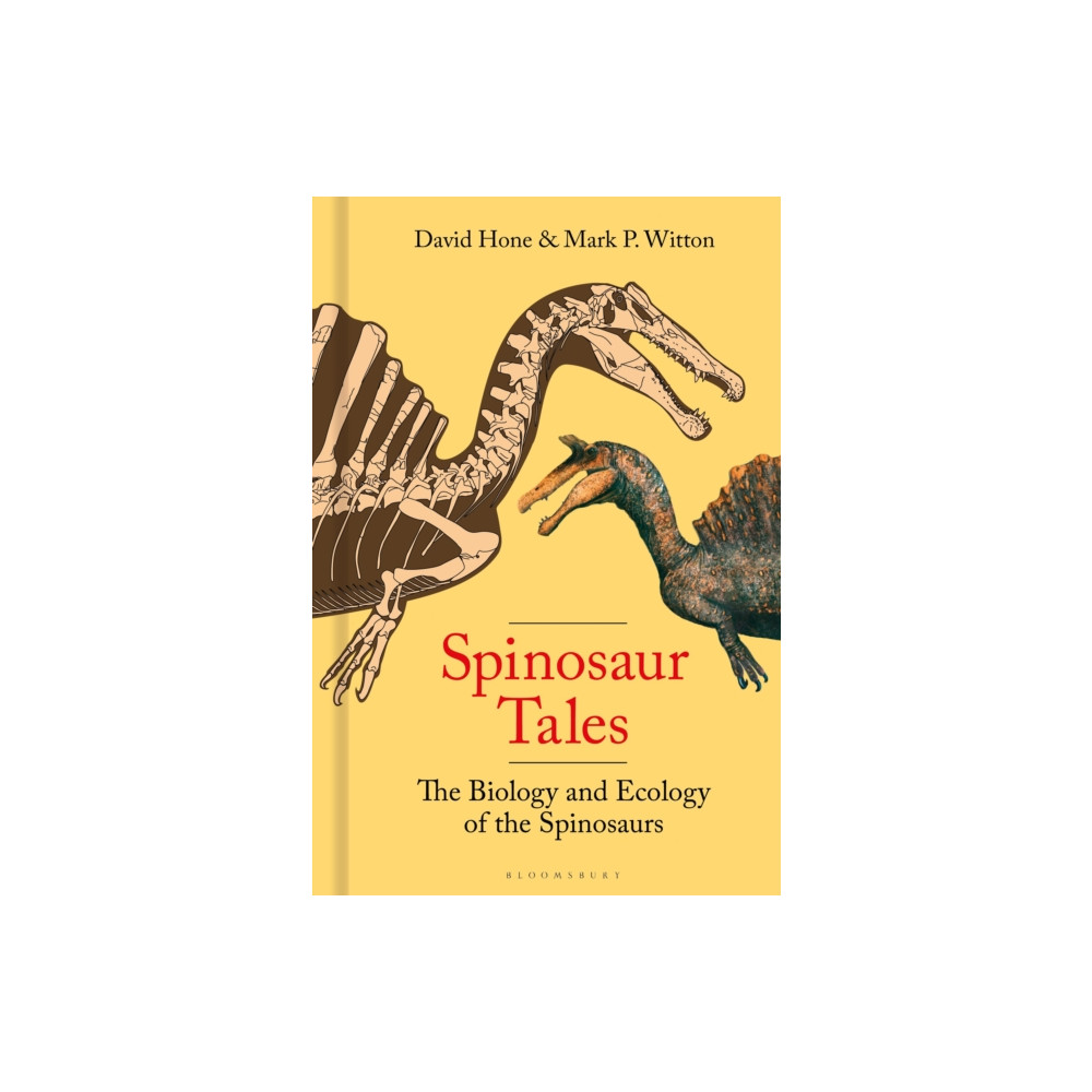 Produktbild för Spinosaur Tales (inbunden, eng)