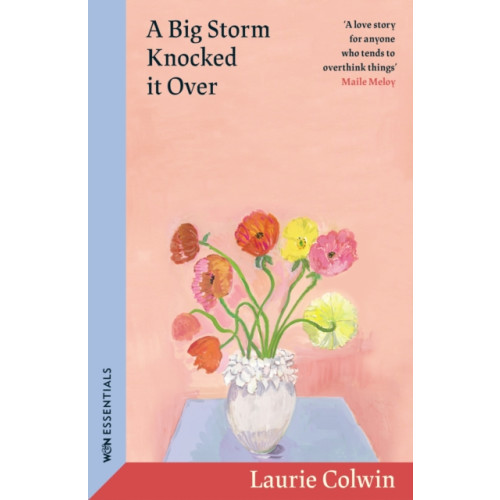 Orion Publishing Co A Big Storm Knocked it Over (häftad, eng)