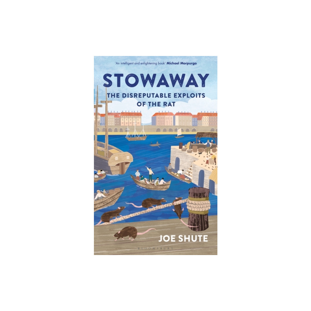 Produktbild för Stowaway (häftad, eng)