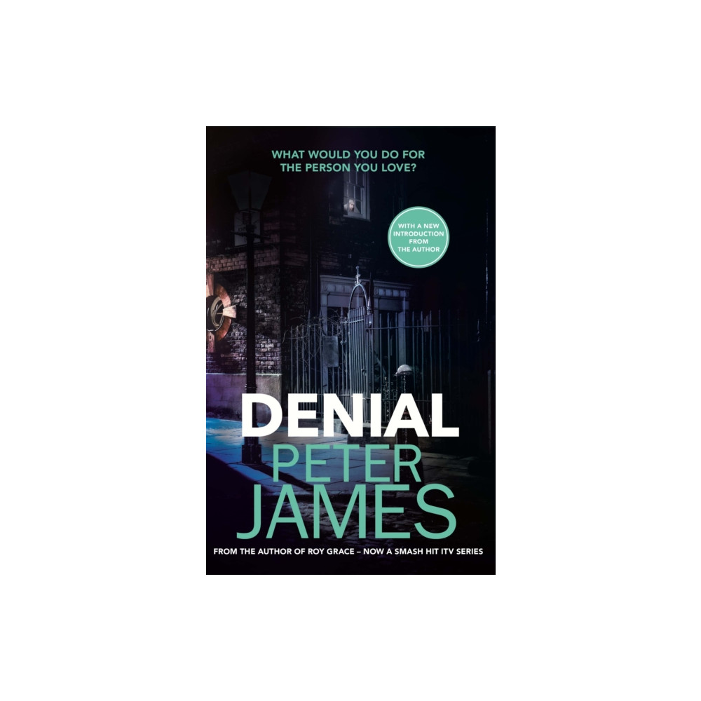 Produktbild för Denial (häftad, eng)