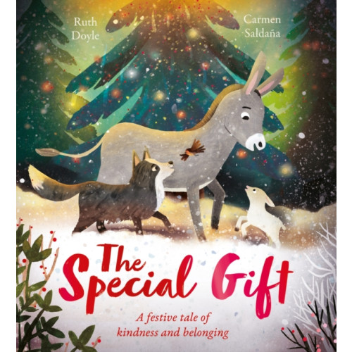 Hachette Children's Group The Special Gift (häftad, eng)