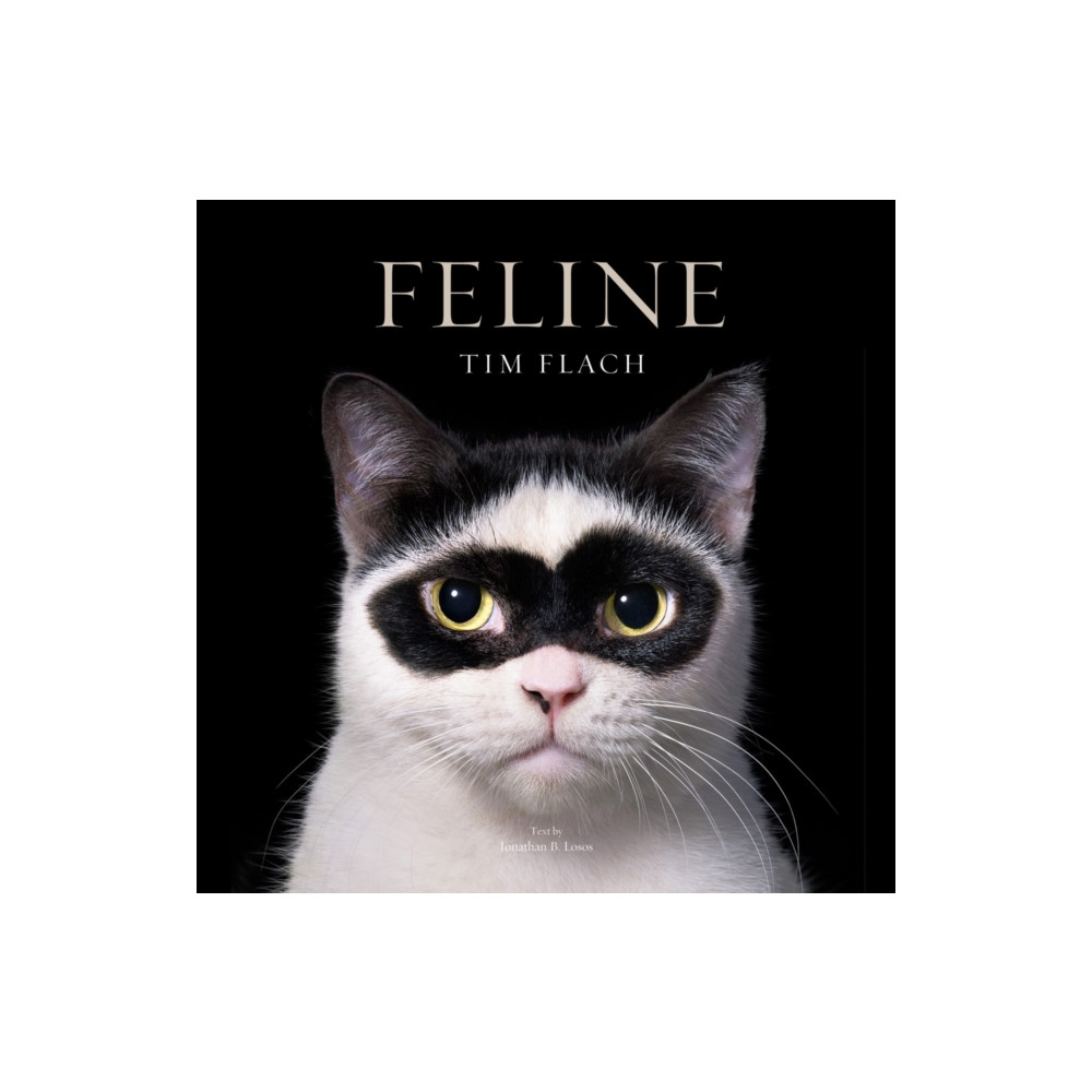 Produktbild för Feline (inbunden, eng)