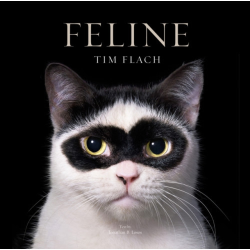 Abrams Feline (inbunden, eng)