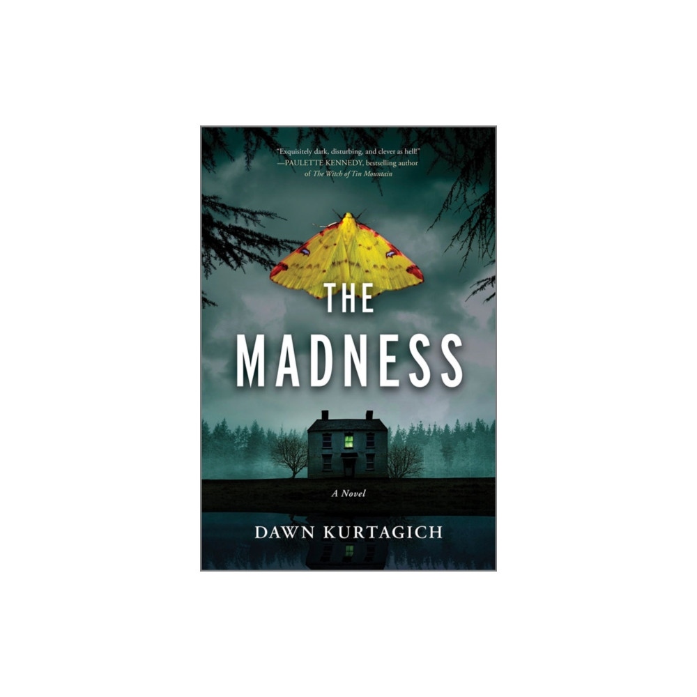 Produktbild för The Madness (häftad, eng)