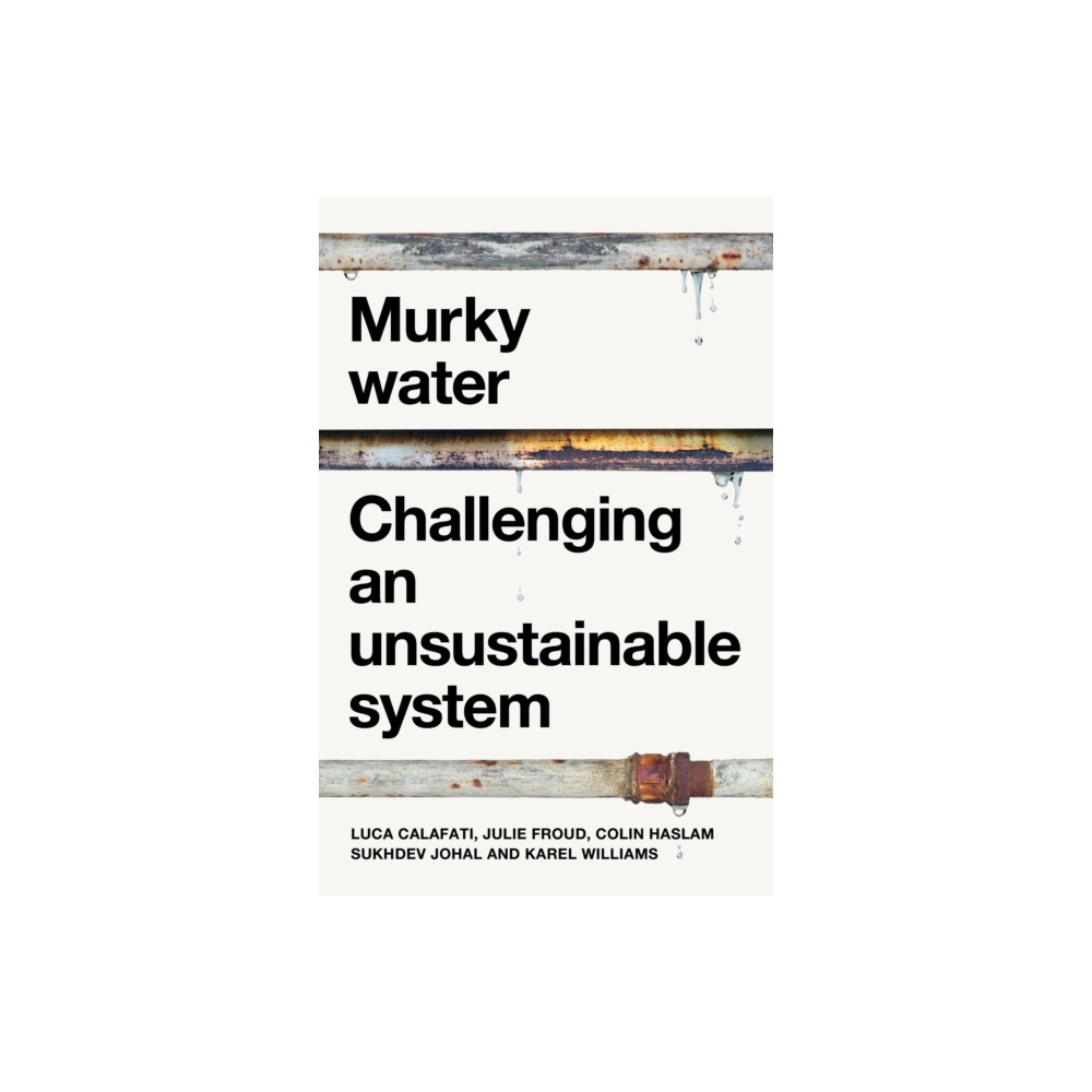 Produktbild för Murky Water (häftad, eng)