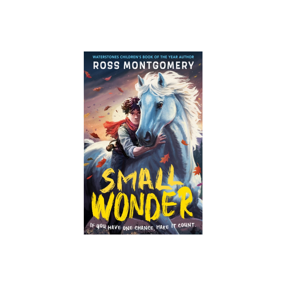 Produktbild för Small Wonder (häftad, eng)