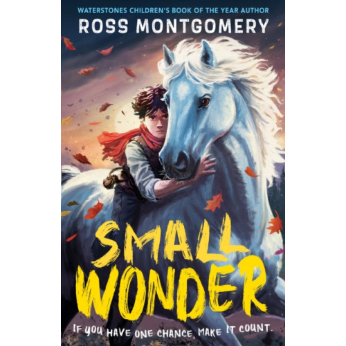 Walker Books Ltd Small Wonder (häftad, eng)
