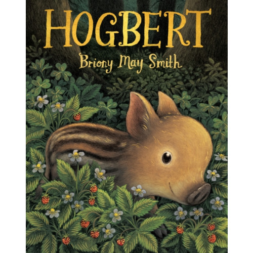 Walker Books Ltd Hogbert (inbunden, eng)