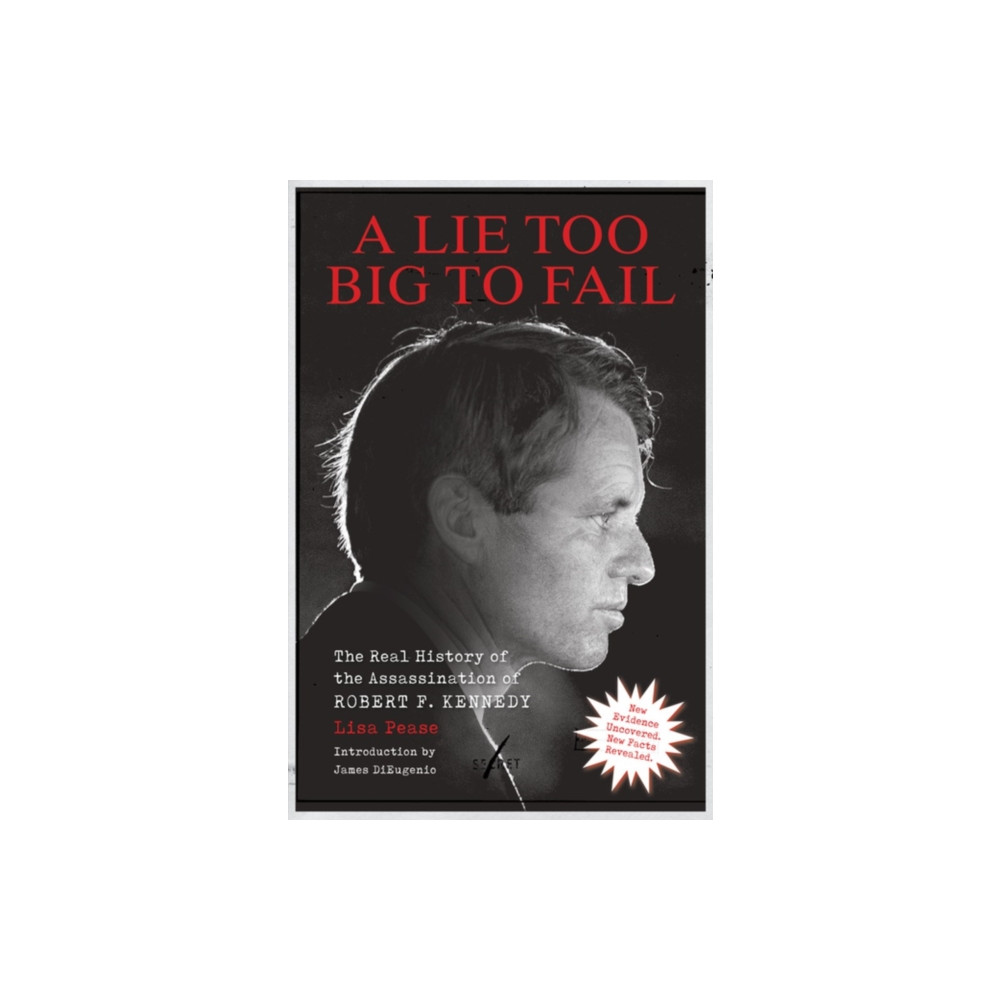 Produktbild för A Lie Too Big to Fail (häftad, eng)