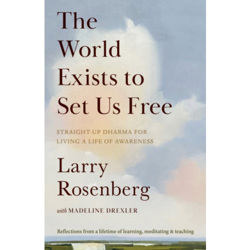 Shambhala Publications Inc The World Exists to Set Us Free (häftad, eng)