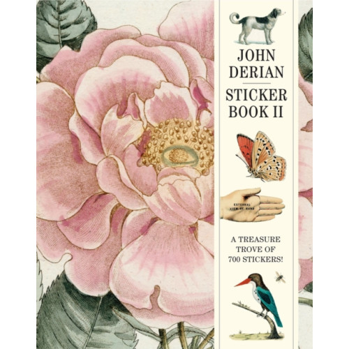 Workman Publishing John Derian Sticker Book II (inbunden, eng)