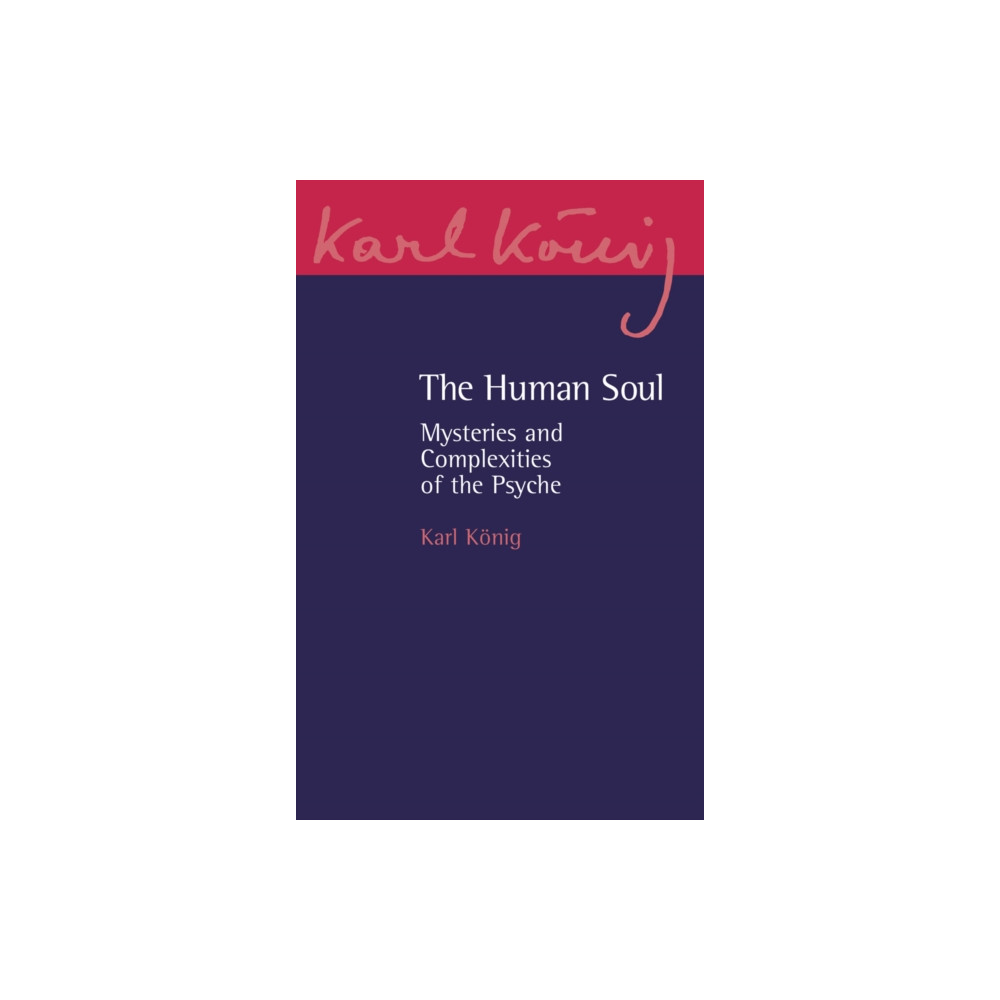 Produktbild för The Human Soul (häftad, eng)