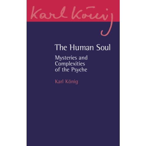 Floris Books The Human Soul (häftad, eng)