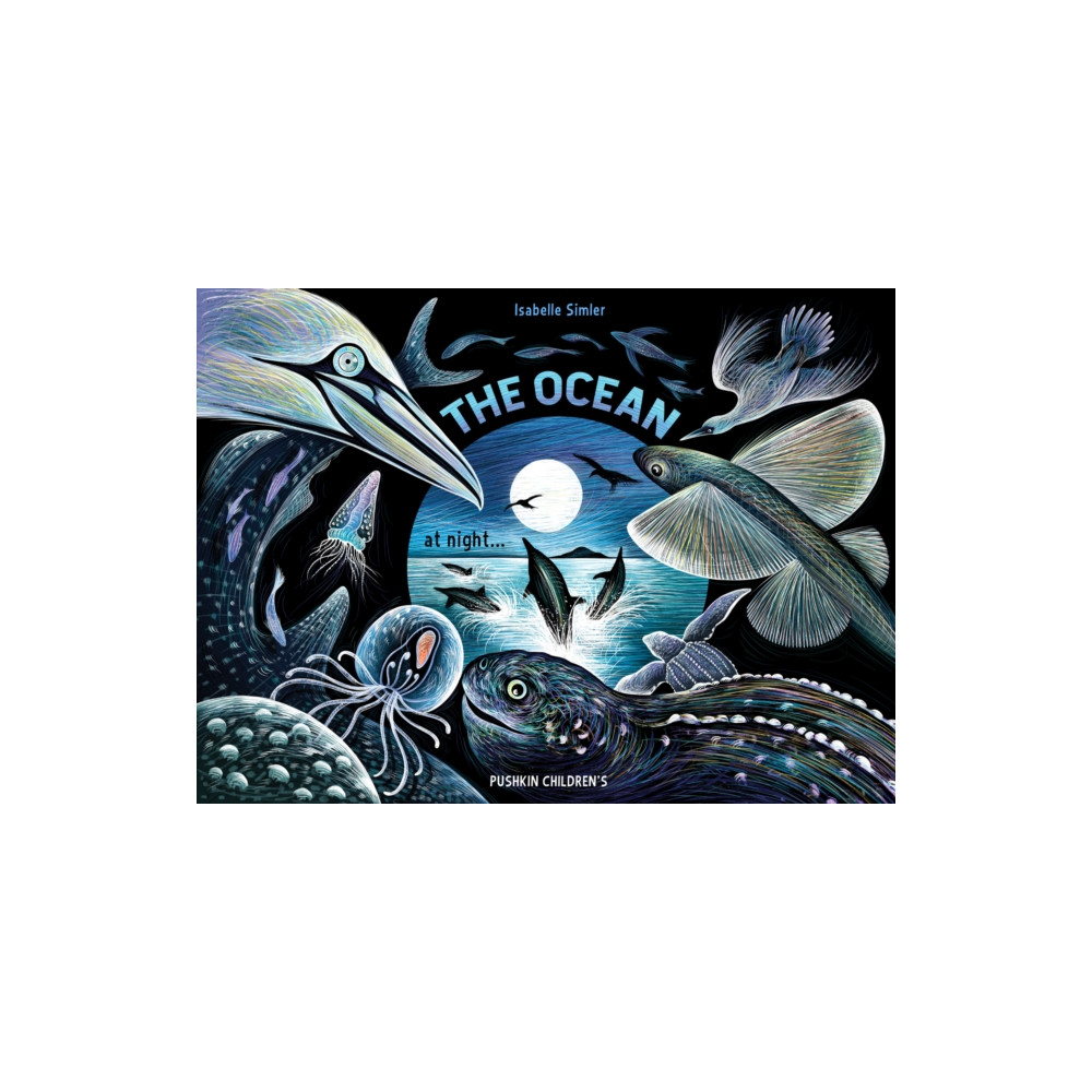 Produktbild för The Ocean at Night (inbunden, eng)