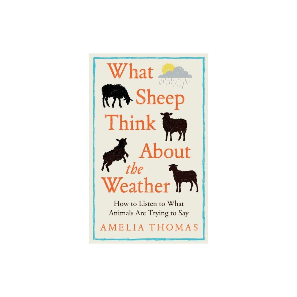 Produktbild för What Sheep Think About the Weather (inbunden, eng)